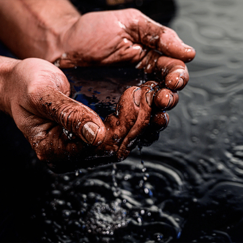 Petroleum Raw Materials